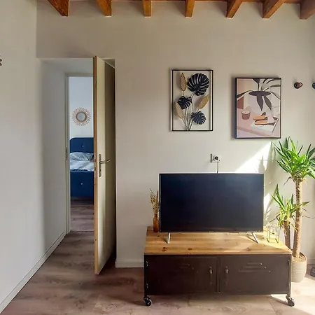 Apartment Amazing In