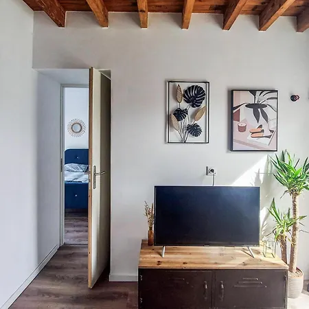 Apartment Amazing In *
